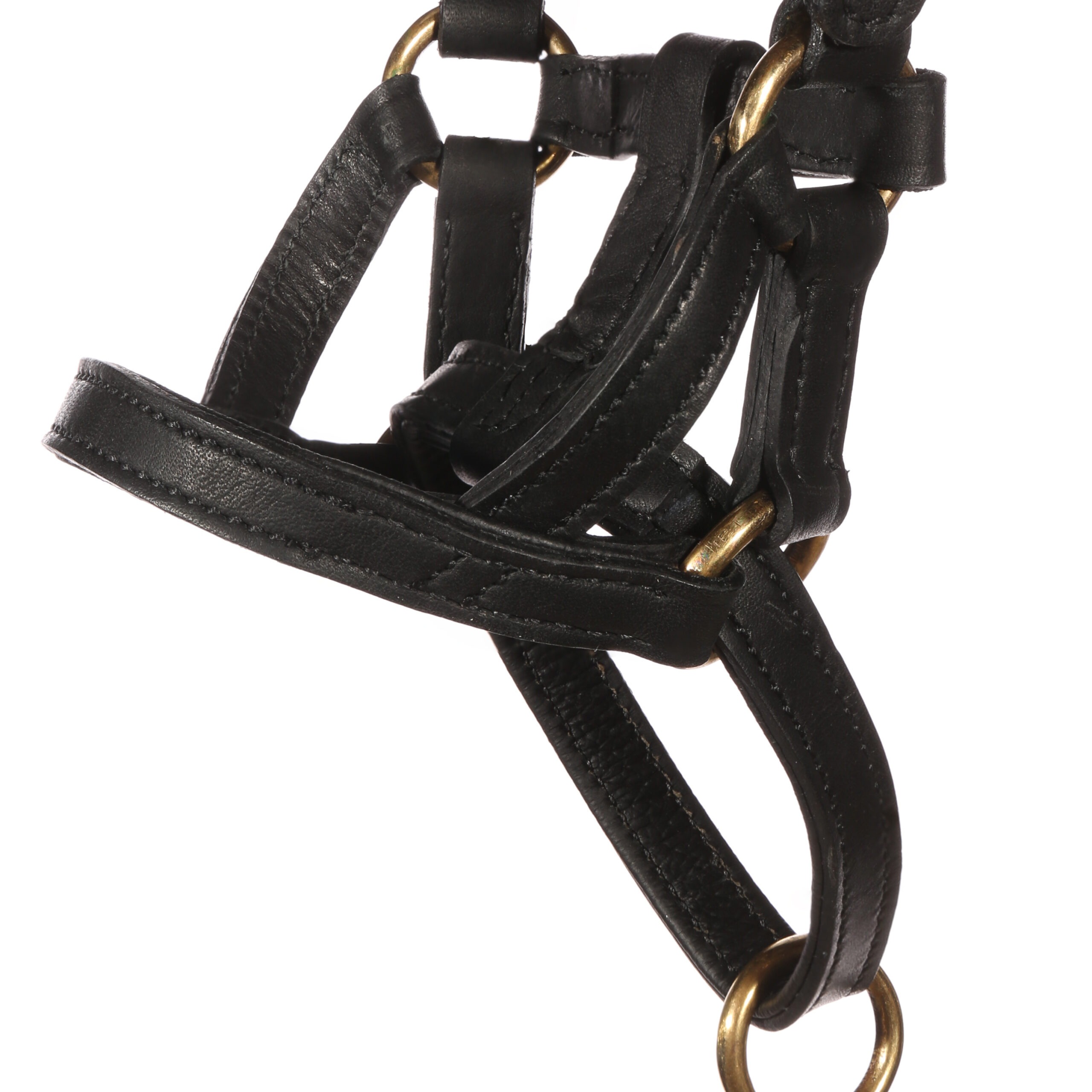 dogmatic-leather-headcollar-dogmatic